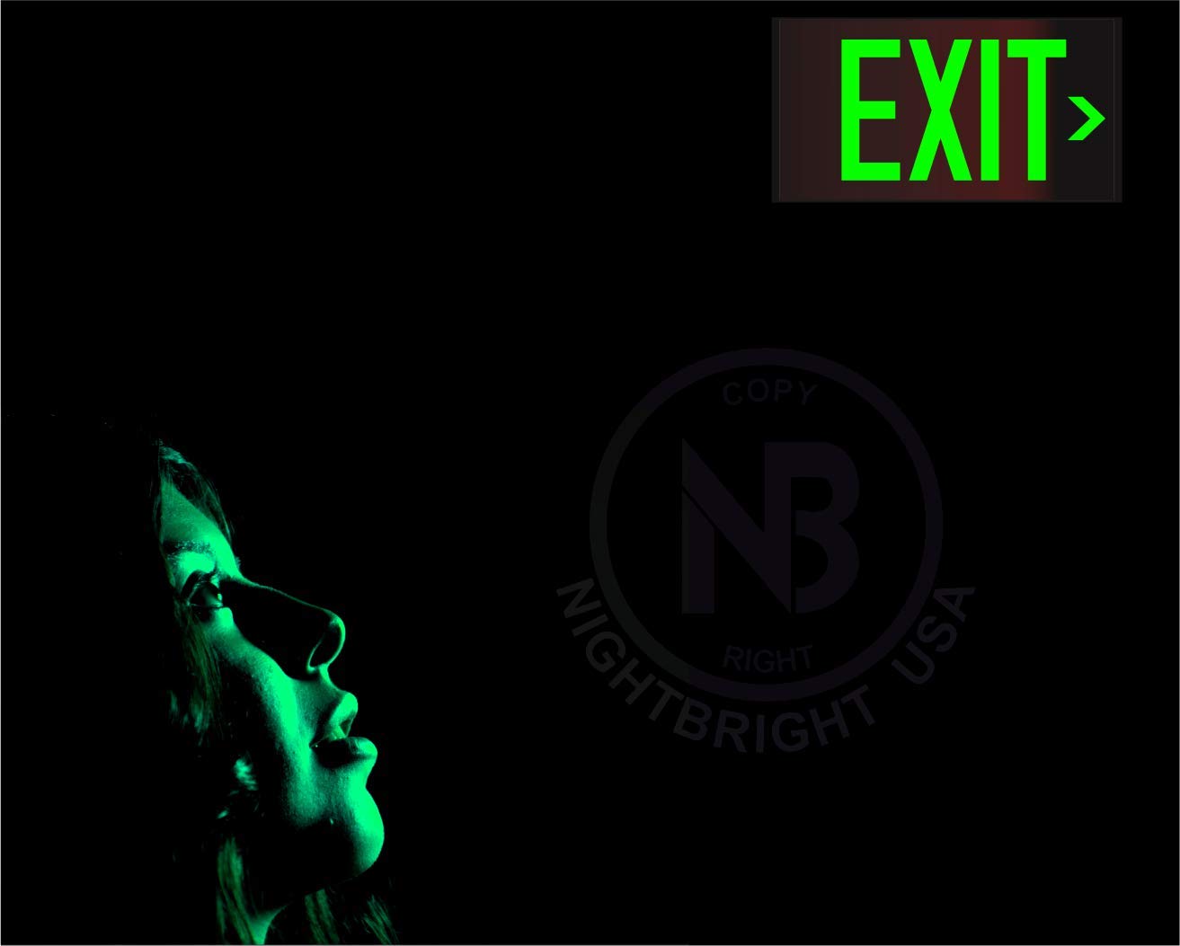 Photoluminescent Exit Sign Red W/Holes and Hardware - Aluminum - UL 924 Code Approved/IBC/NFPA 101) Made in USA | NightBright USA Part Number ULR-050-HH
